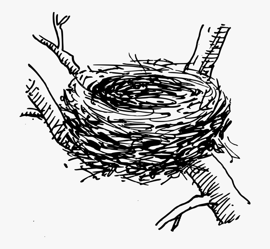 Computer Icons Egg Free - Black And White Birds Nest Clipart, Transparent Clipart