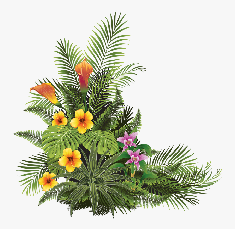 Crown Imperial, Transparent Clipart