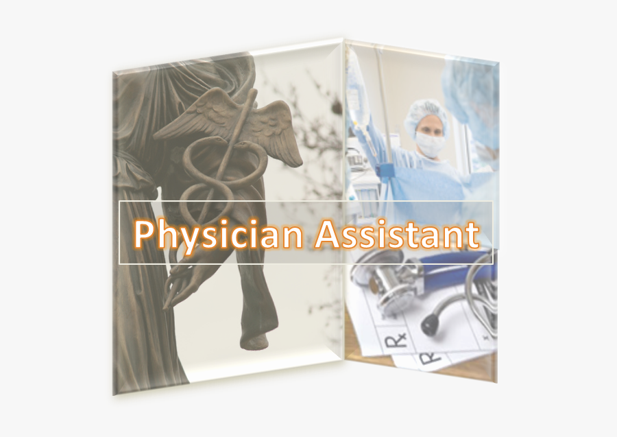 Picture Frame, Transparent Clipart