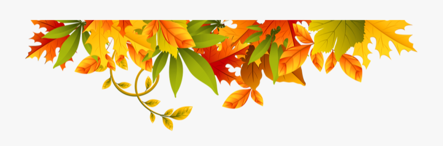 Picture, Transparent Clipart