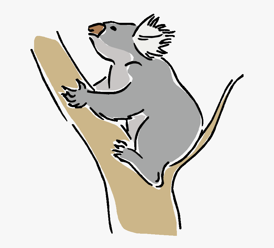 Habitats Clipart - Png Clipart Climbing Koala, Transparent Clipart