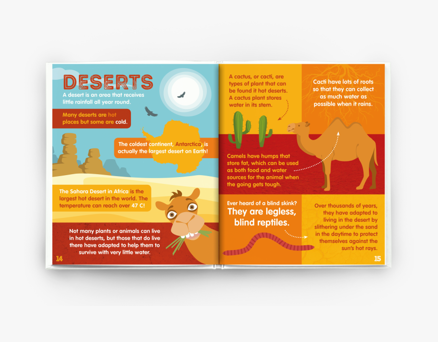 Arabian Camel, Transparent Clipart