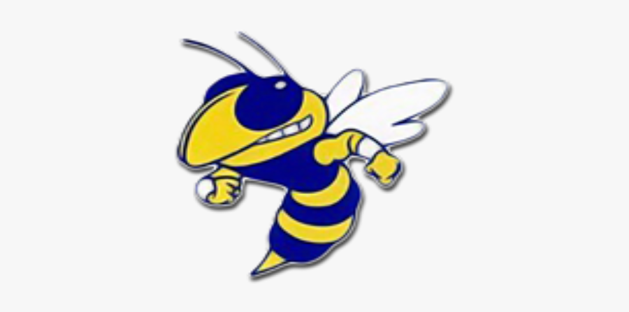 Hornet Clipart Franklin - Yellowjackets Blue And Gold, Transparent Clipart