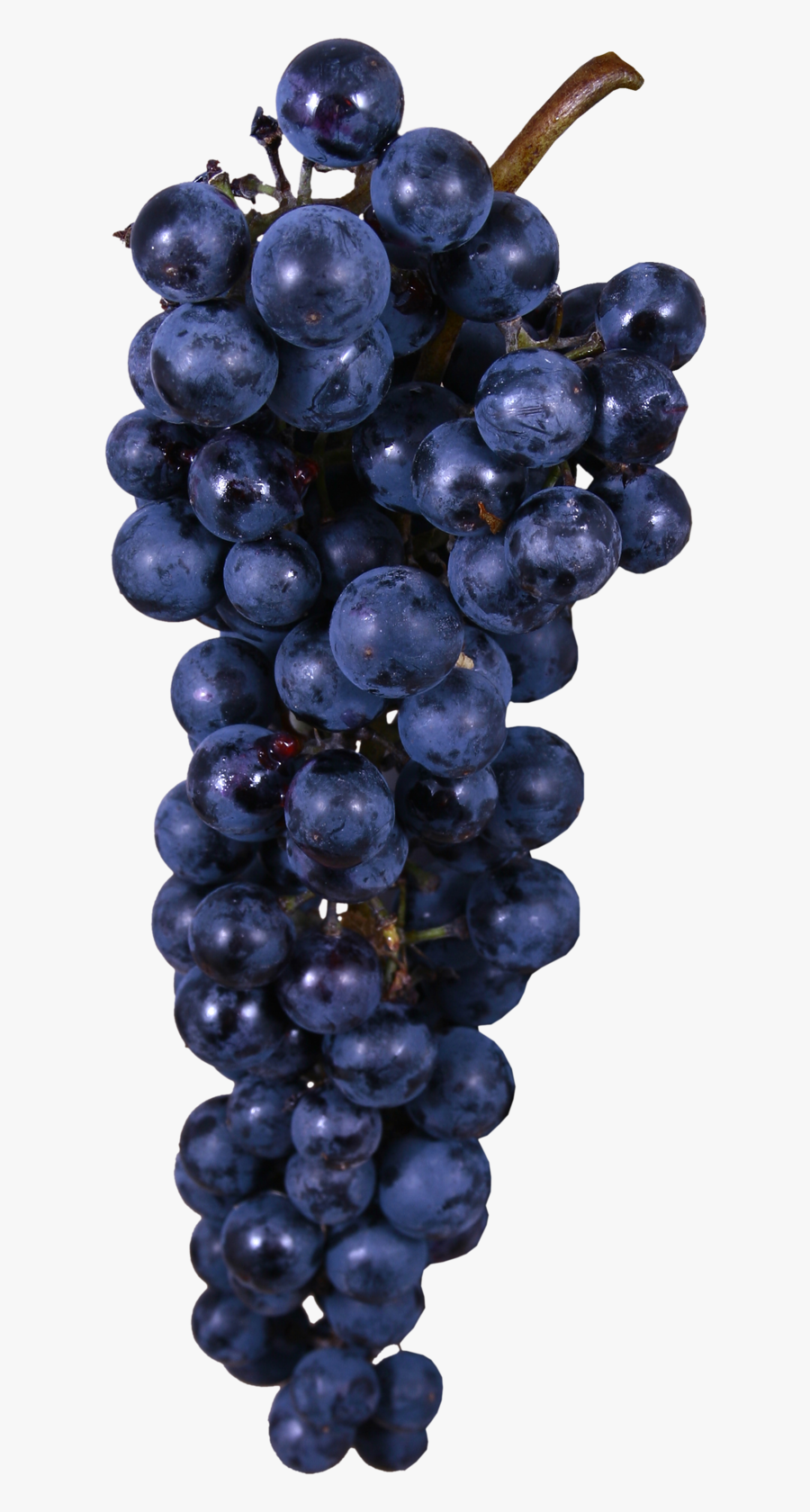 Seedless Fruit, Transparent Clipart