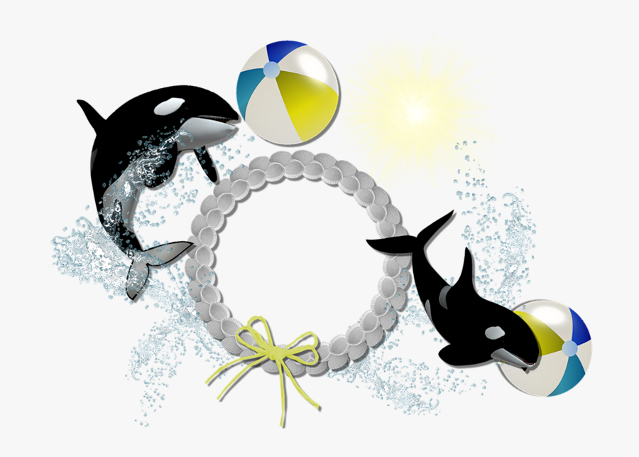 Picture Frame, Transparent Clipart