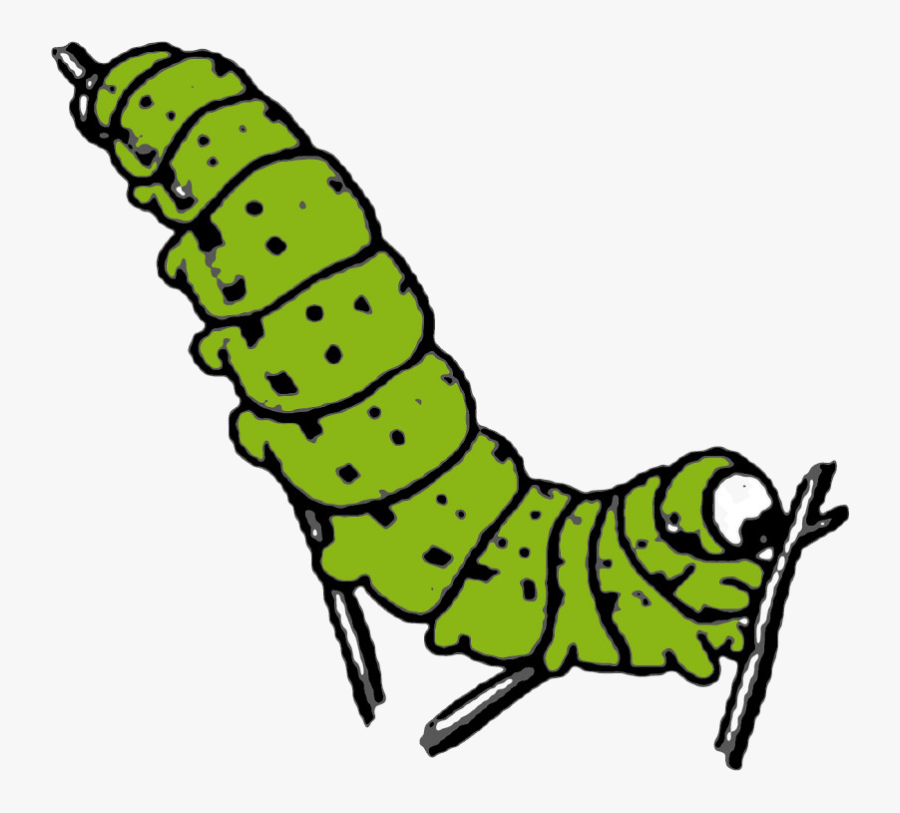 Caterpillar Png Photo Background - Caterpillar Clipart, Transparent Clipart