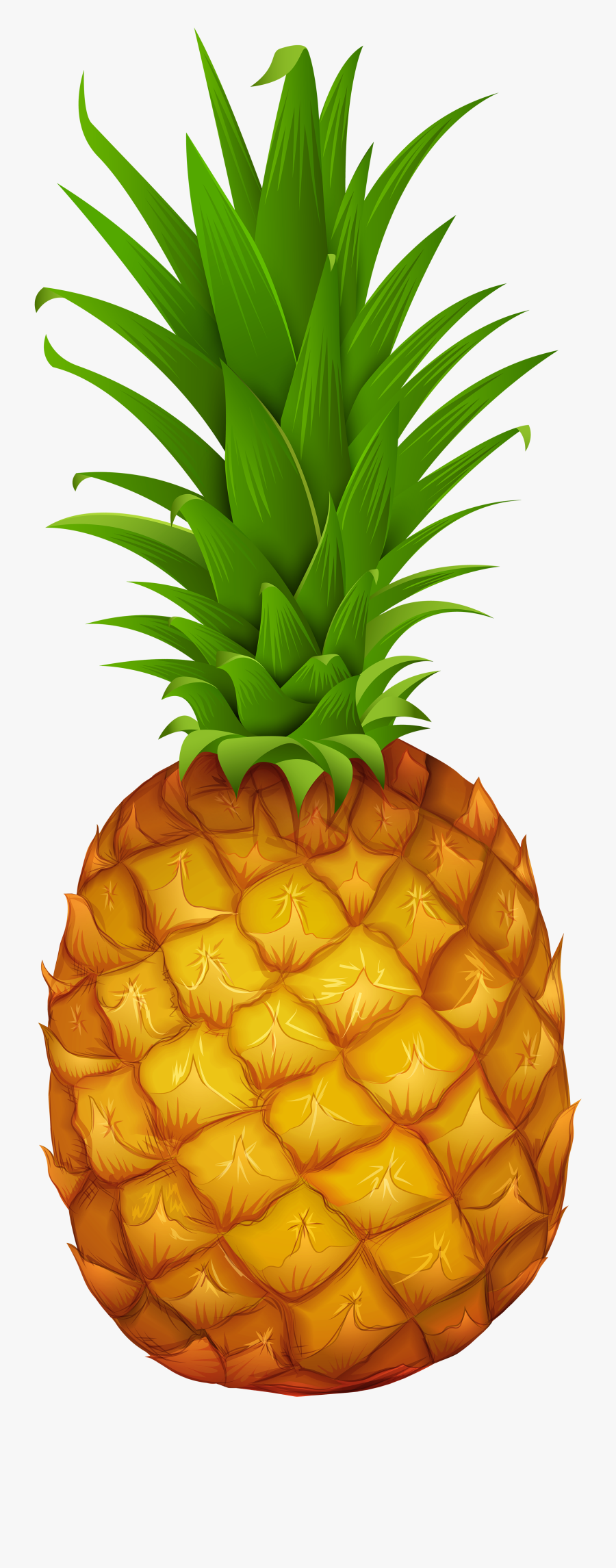 Png Gallery Yopriceville High - Transparent Pineapple Png Clipart, Transparent Clipart