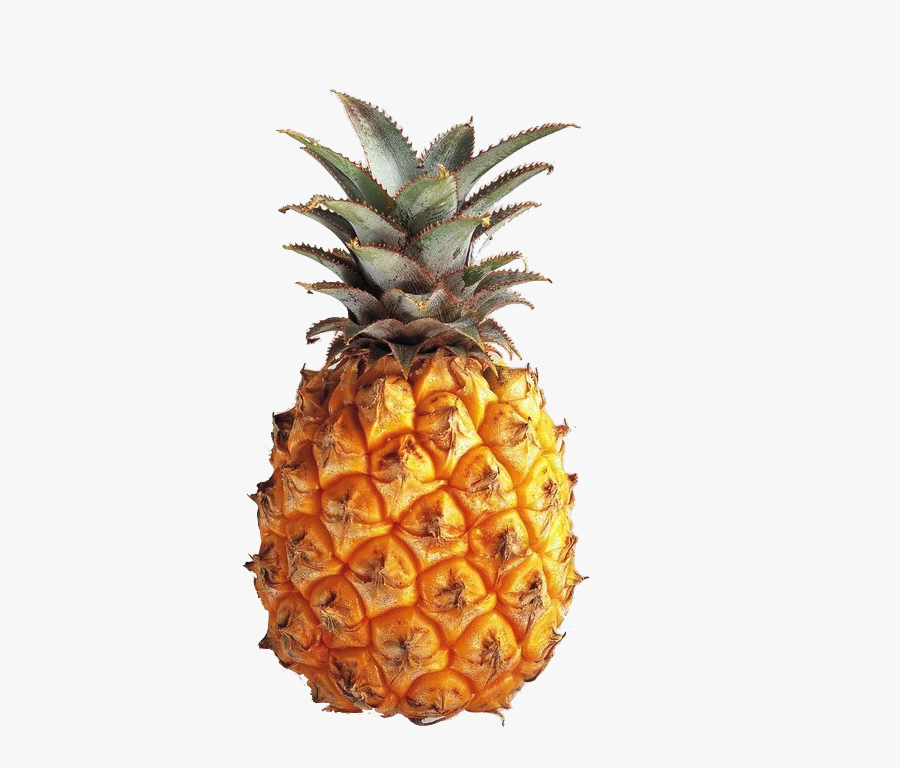 Transparent Google Search On - Pineapple Transparent, Transparent Clipart