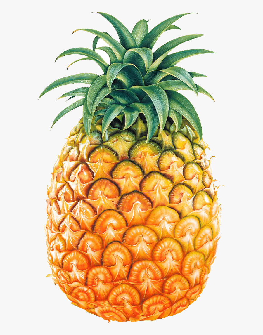 Fruit Pineapple Free Transparent Image Hd Clipart - Pineapple Png, Transparent Clipart