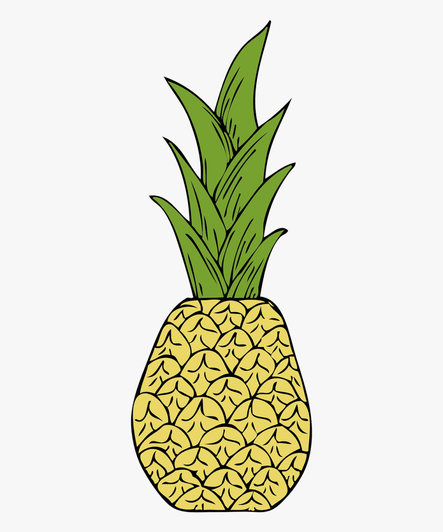 Pineapples Fruit Tropical - Pineapple Png Illustration, Transparent Clipart