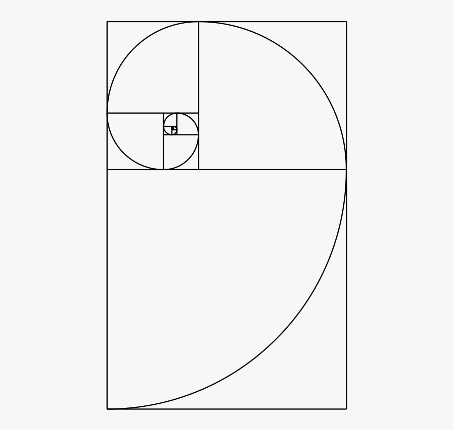 Transparent Lattice Clipart - Fibonacci Spiral Shell, Transparent Clipart