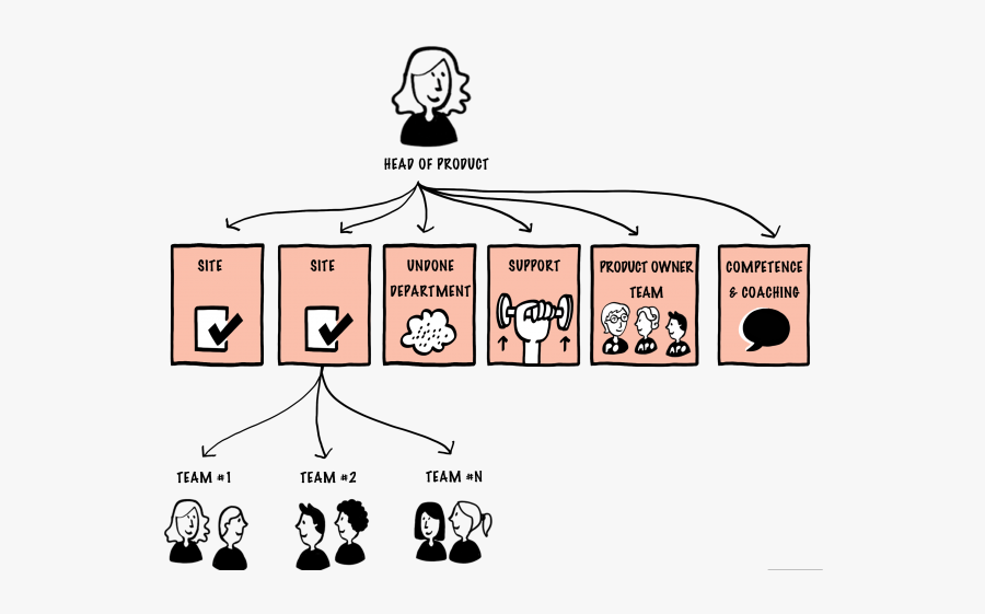 Line Organizational Structure Pdf, Transparent Clipart