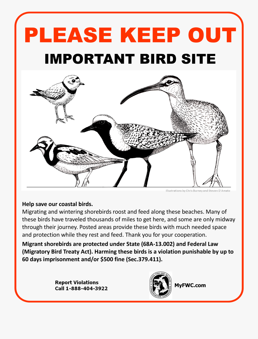 Shore Bird Protection Sign, Transparent Clipart