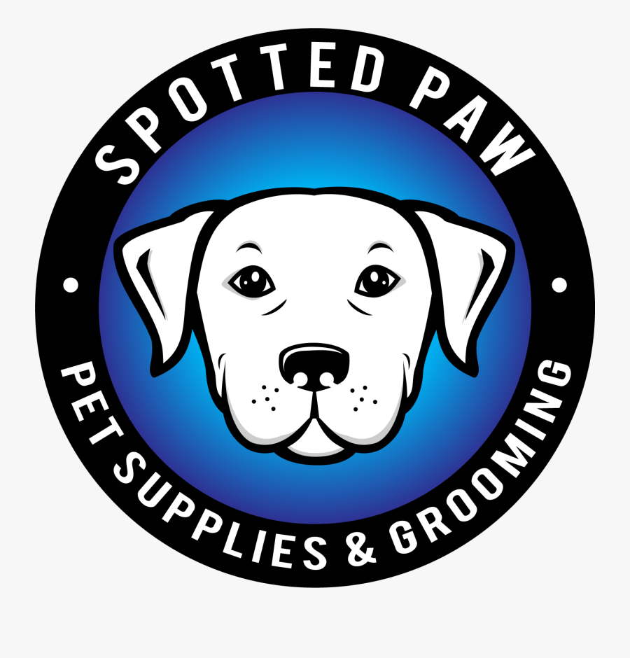 Labrador Retriever, Transparent Clipart