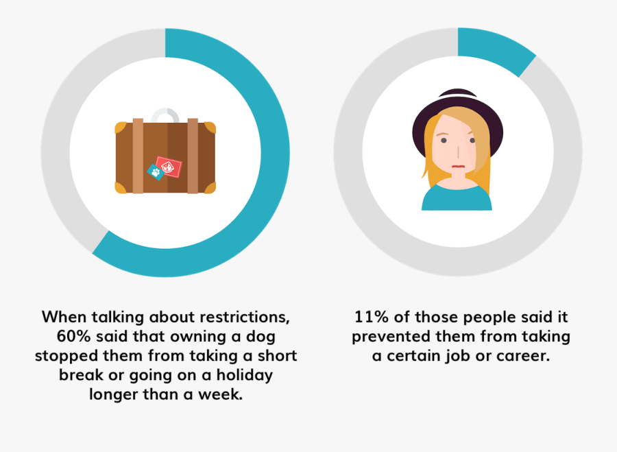 Infographic - Illustration, Transparent Clipart