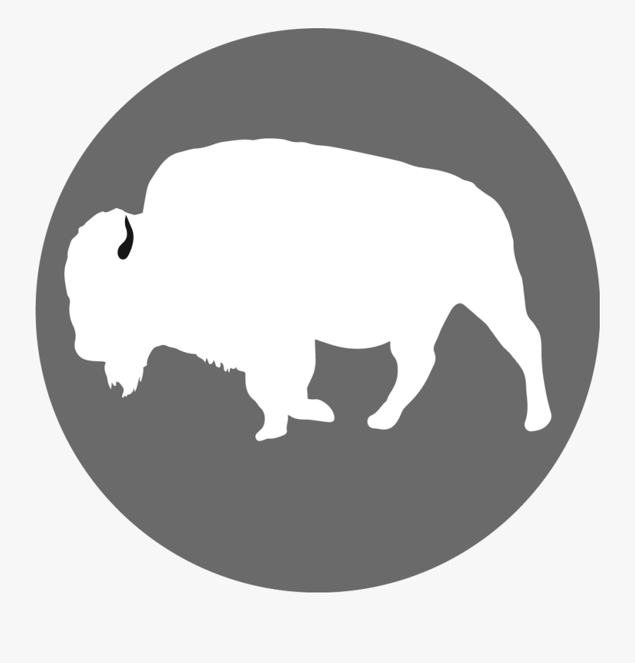 White Bison Solns - Bull, Transparent Clipart