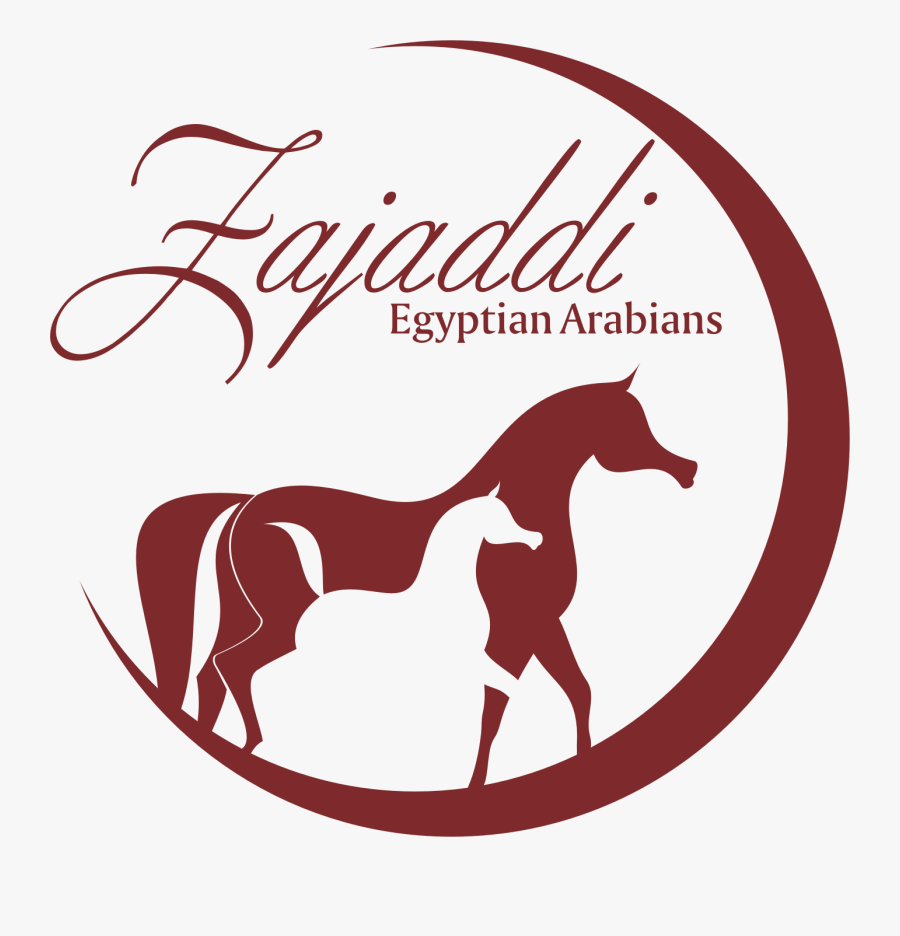 Stallion, Transparent Clipart