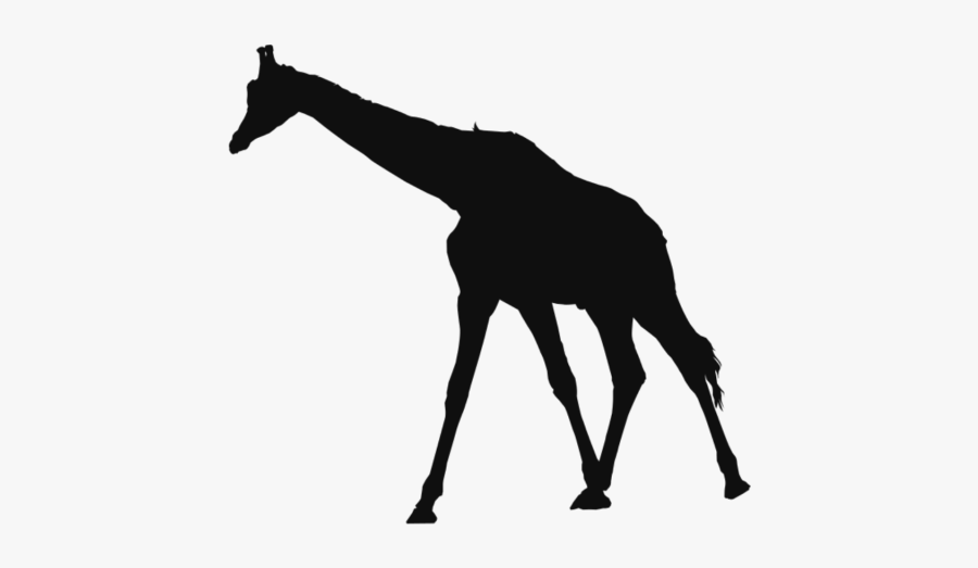 Vector Giraffe File - Black Animals Clipart Png, Transparent Clipart