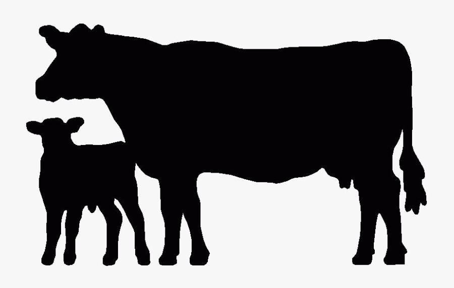 Angus Cattle Beef Cattle Welsh Black Cattle Holstein - Cow And Calf Silhouette, Transparent Clipart