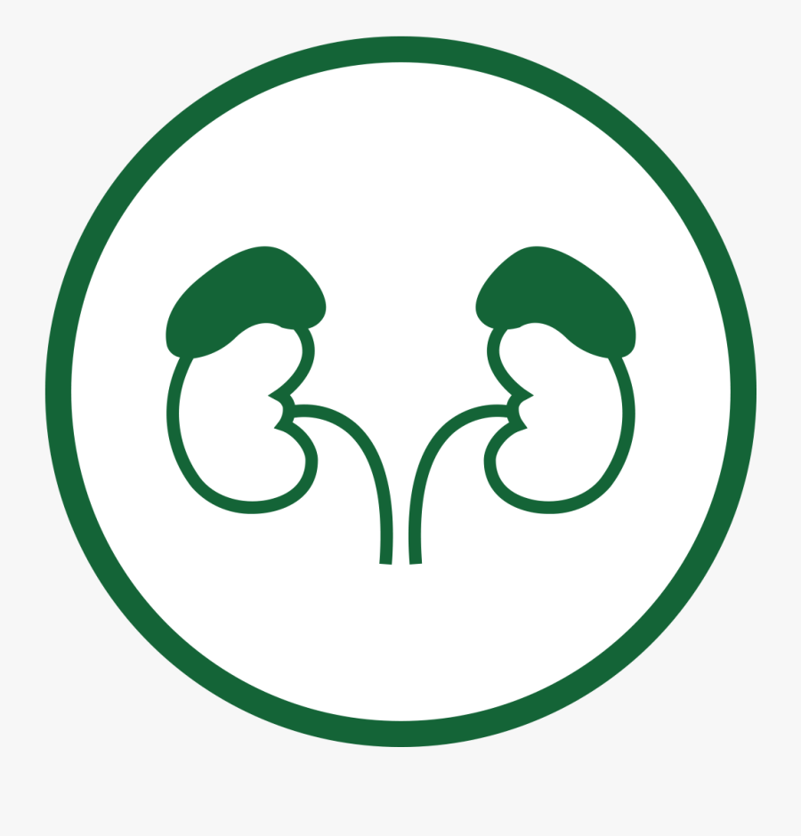 Maker"s Mark Clipart , Png Download - Adrenal Gland Black And White, Transparent Clipart