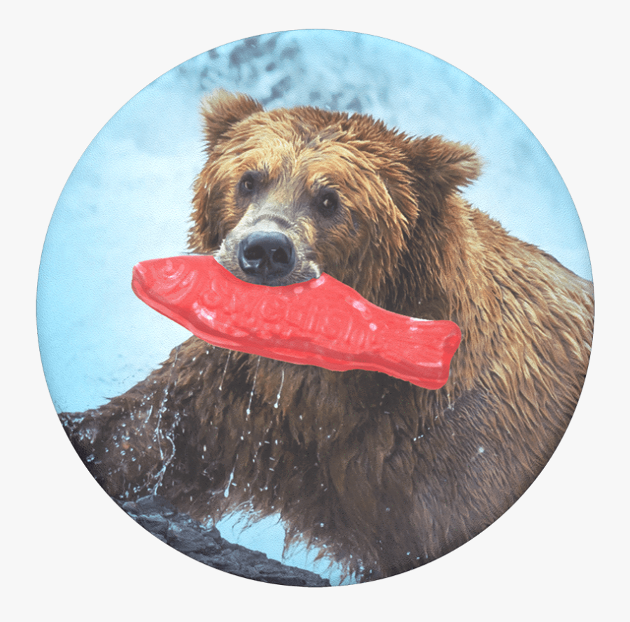 Transparent Swedish Fish Png - Grizzly Bear With Fish, Transparent Clipart