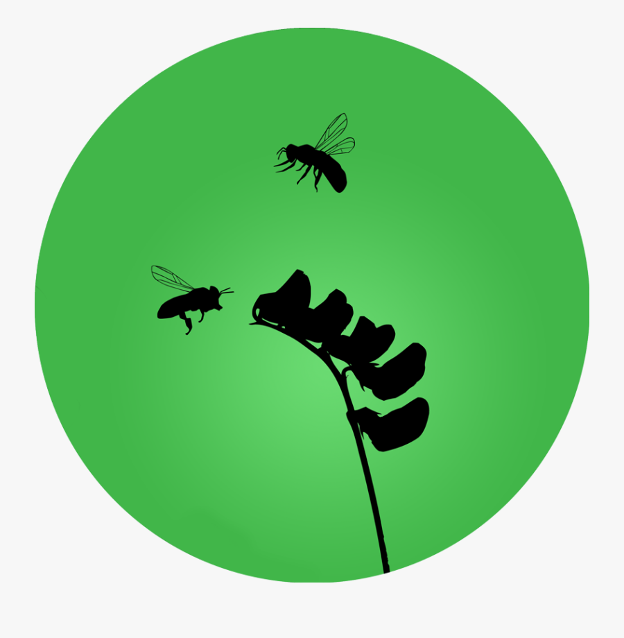 Green Bee Maryland, Transparent Clipart