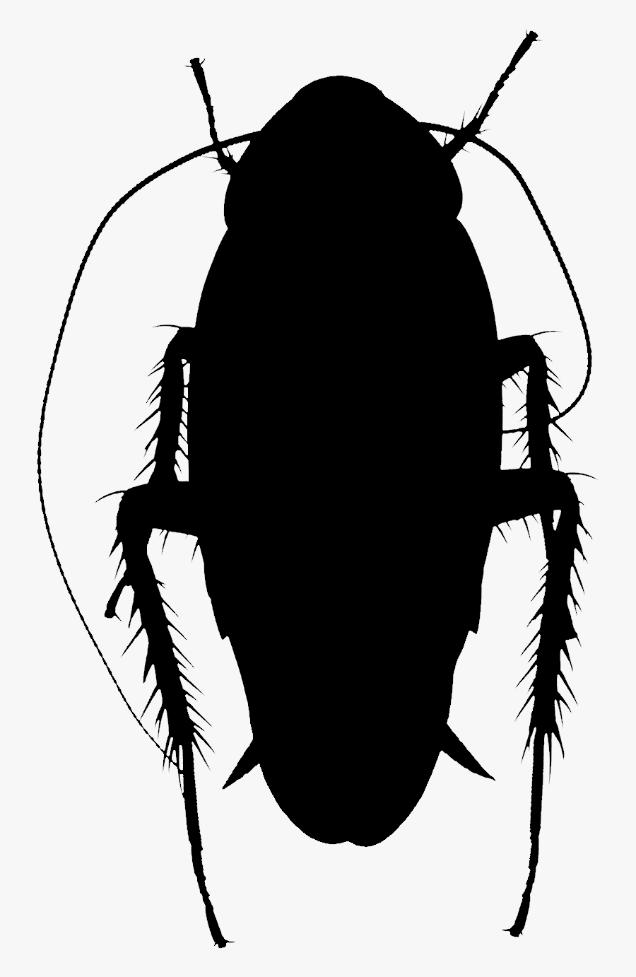 Clip Art Silhouette Insect Membrane - Ground Beetle, Transparent Clipart