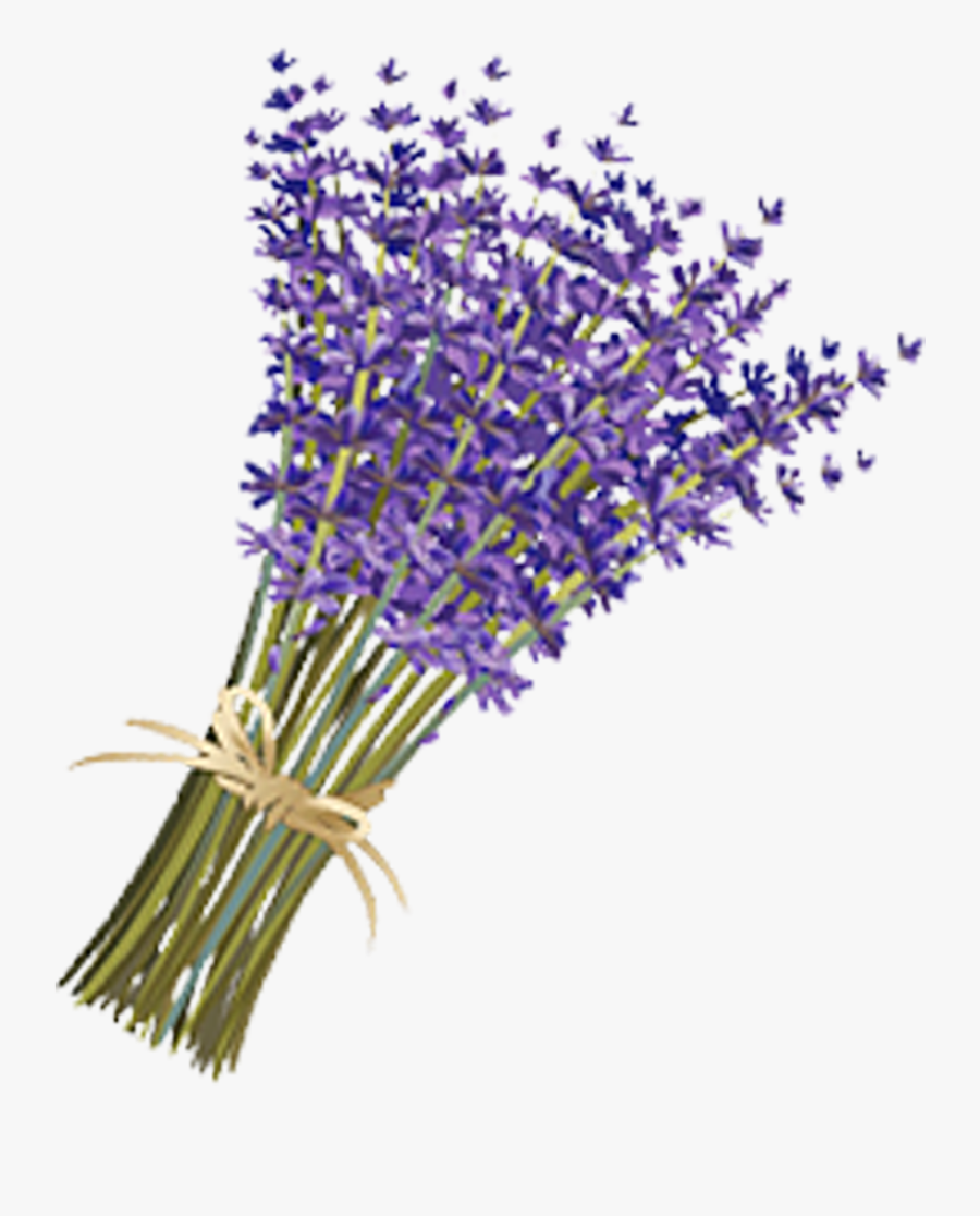 Transparent Violets Png - Lavender Flower Png Transparent, Transparent Clipart