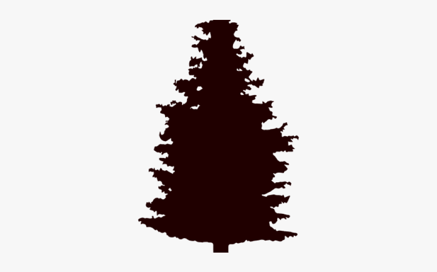 Pine Tree, Transparent Clipart