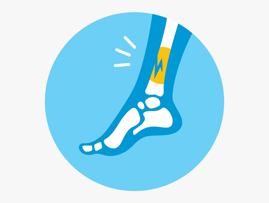 Circle, Transparent Clipart