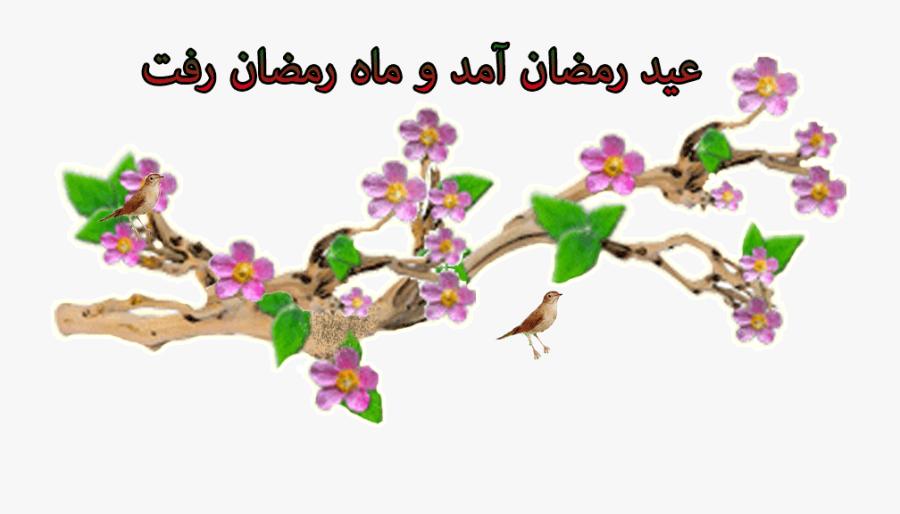 Exo Terra Forest Branch Large - عکس حاشیه متحرک, Transparent Clipart