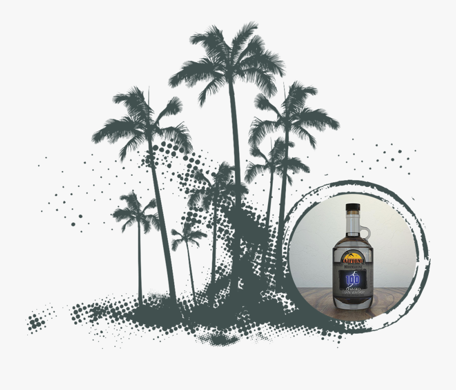 Moonshine-text Moonshine Palms - Illustration, Transparent Clipart