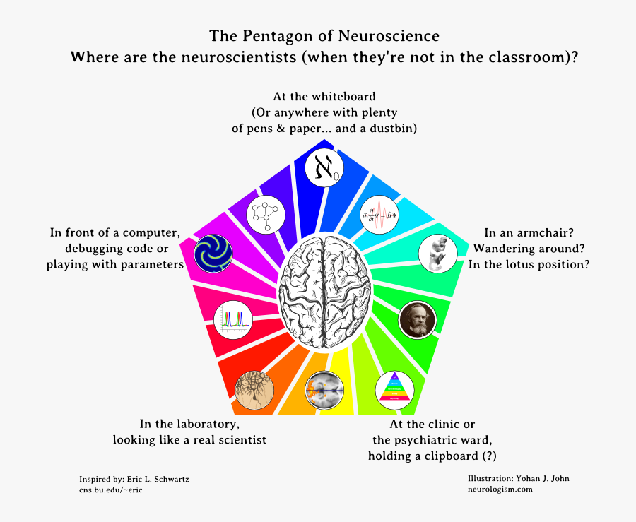 Neuropentagram5 - Cognitive Neuroscience And Neuroinformatics, Transparent Clipart
