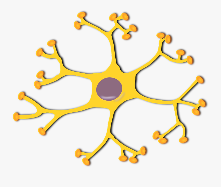 Neuron Clipart Transparent - Brain Cell Clipart, Transparent Clipart