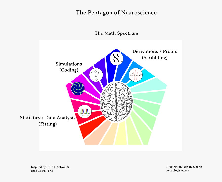 Neuropentagram3 - Cognitive Neuroscience And Neuroinformatics, Transparent Clipart