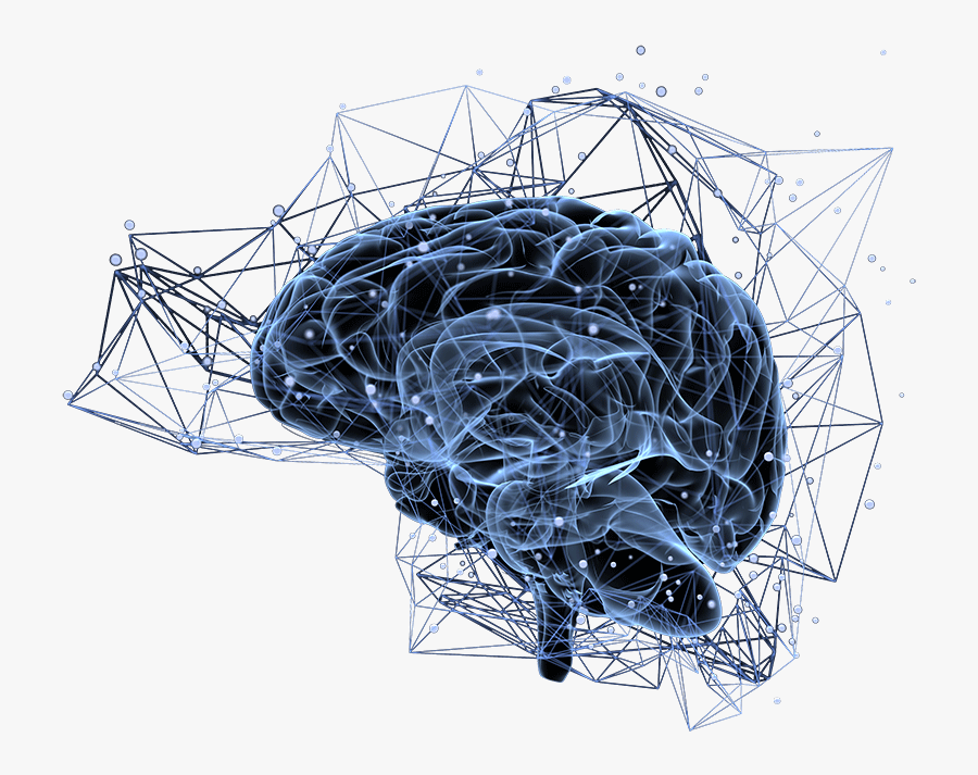 Brain Neuro Pathways - Plasticity Brain, Transparent Clipart