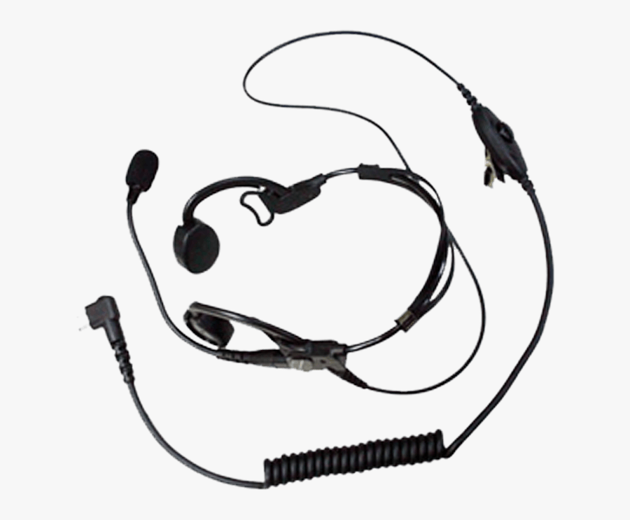 Pmln5011, Transparent Clipart