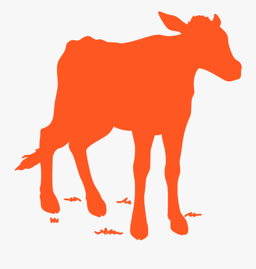 Transparent Cow Jumping Clipart - Cow Png Vector Brown, Transparent Clipart