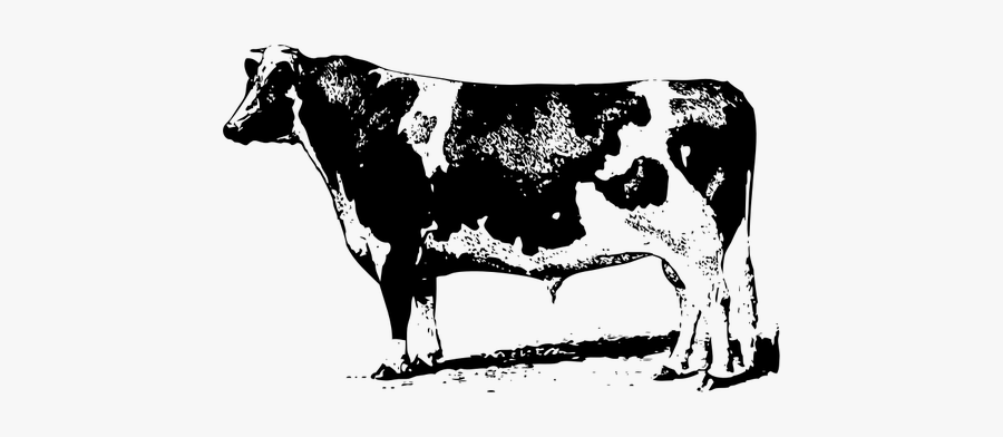 Vector Clip Art Of Farming Cow - Cow Images Png Black And White, Transparent Clipart
