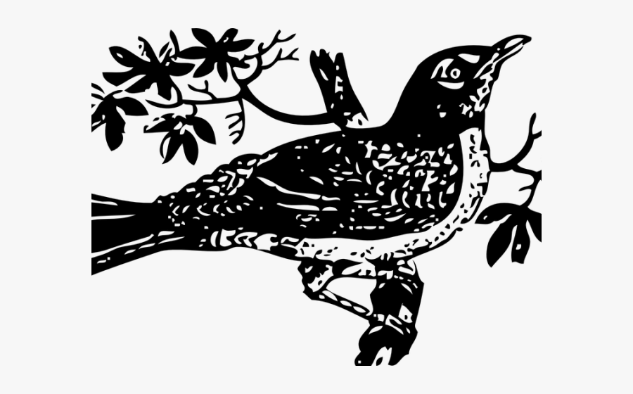 Kill A Mockingbird Drawing, Transparent Clipart