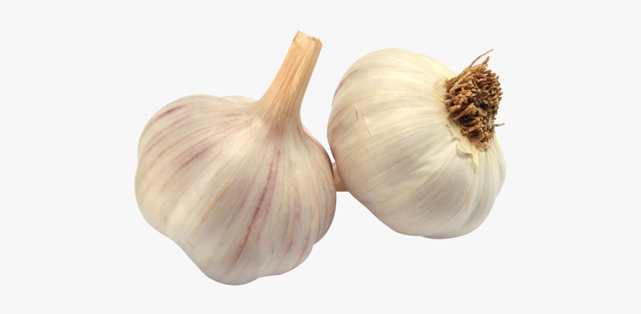 Garlic Bread Food Clip Art - Garlic Png, Transparent Clipart