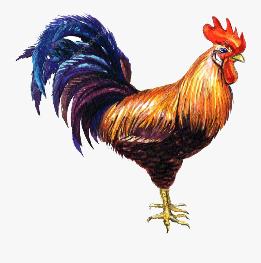 Cock Png Clipart - Watercolor Painting, Transparent Clipart