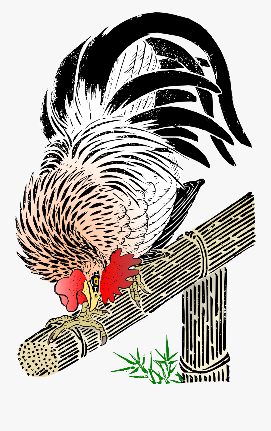 Cock Colored Clip Arts - Clip Art, Transparent Clipart