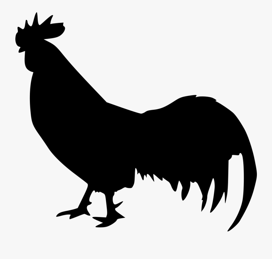 Gallo De Pelea .png, Transparent Clipart