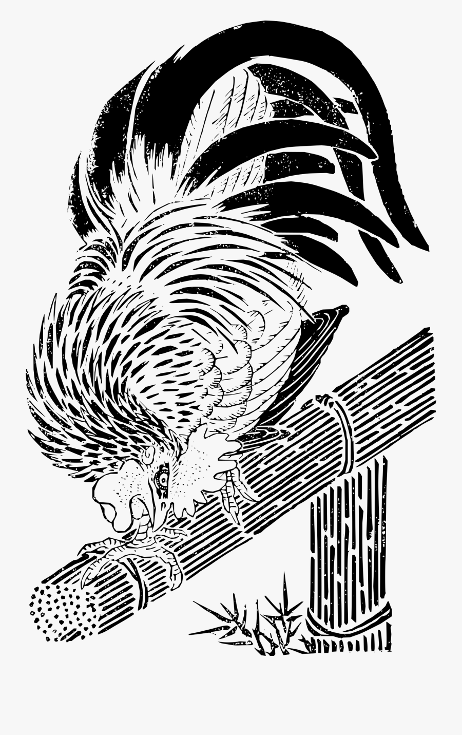 Cock Clip Arts - Clip Art, Transparent Clipart