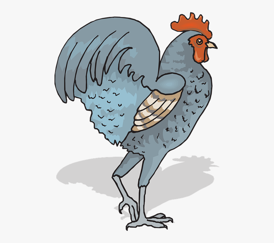 Transparent Sunrise Rooster Clipart - Chicken Cock Farm Animal, Transparent Clipart
