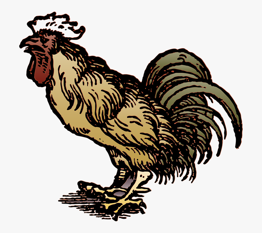 Cock Transparent Png Images Free Download - Logo Ayam Jantan Transparan, Transparent Clipart