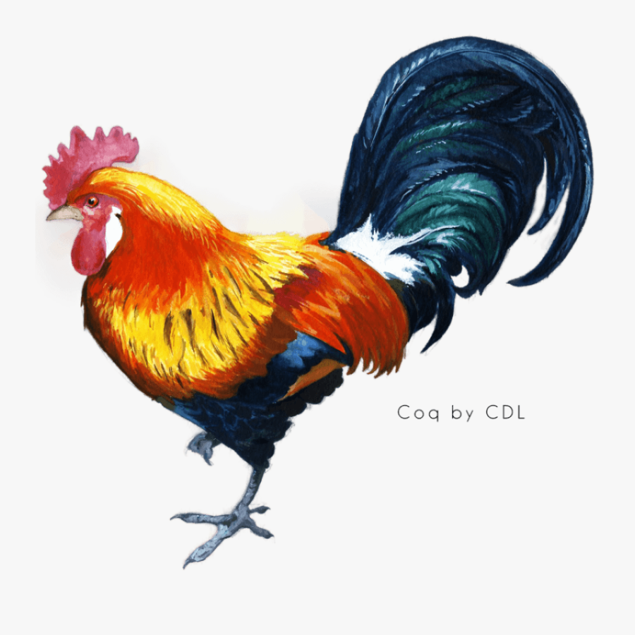 Free Png Cock Png Images Transparent - Cock Png, Transparent Clipart