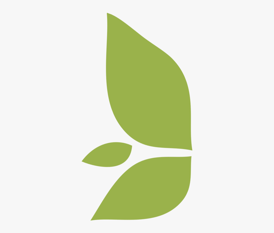 Leaf Clipart House - Graphic Design, Transparent Clipart