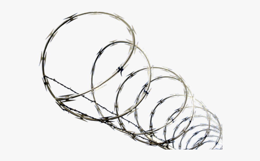 Barb Wire Clipart Transparent Background - Barb Wire Png, Transparent Clipart